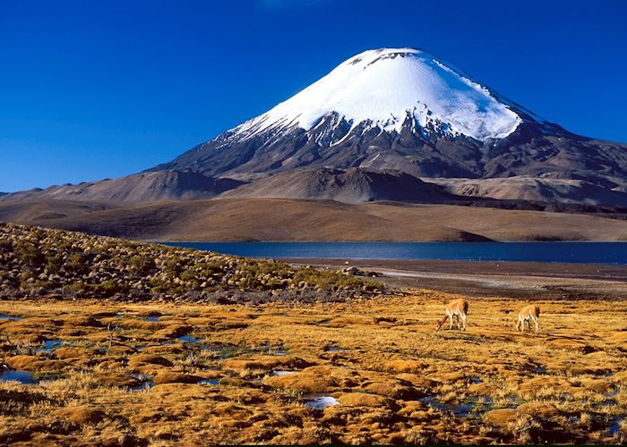 Lauca National Park, Chile