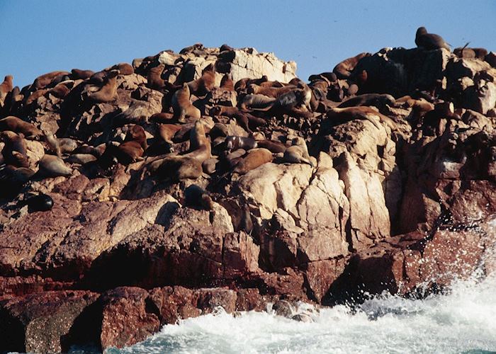 The Ballestas Islands, Peru