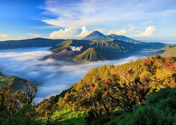 Mount Bromo