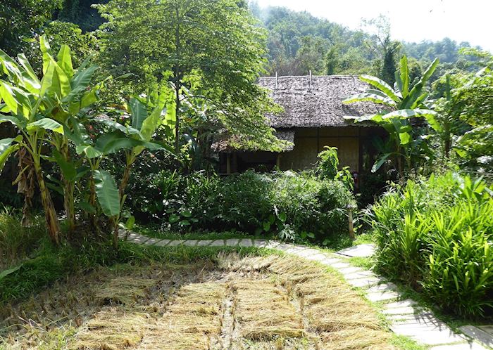 One of the bungalows by the rice fields, The Fern Resort