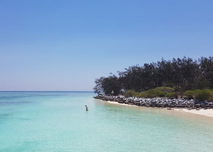 Heron Island