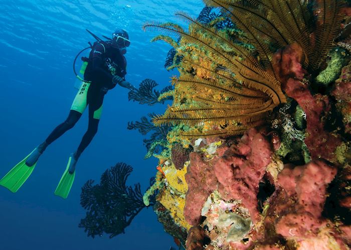 Scuba Diving, Saint Lucia