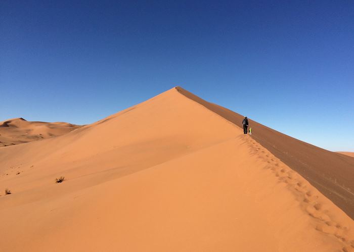 Sand Dune, Sossusvlei