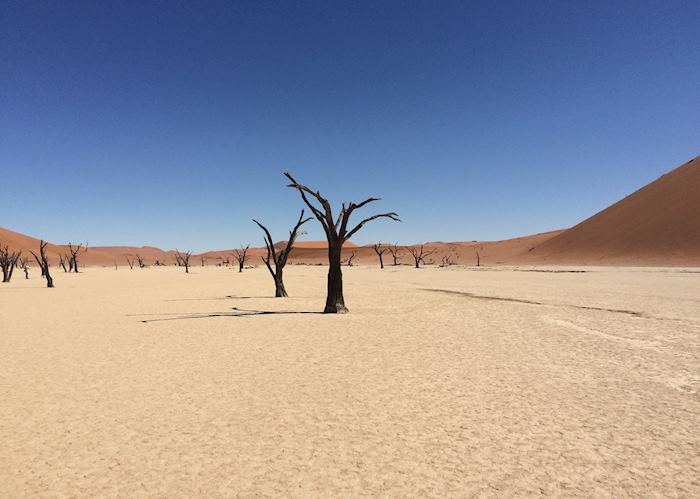 Deadvlei