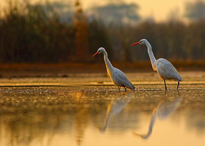 Everglades, Florida