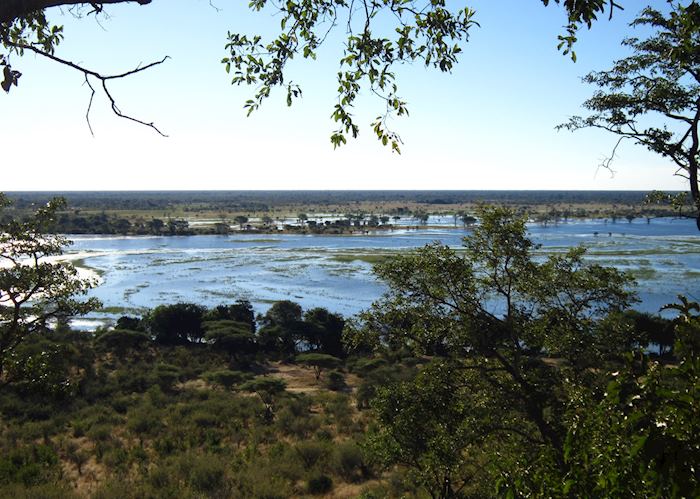 View over Chobe National Park