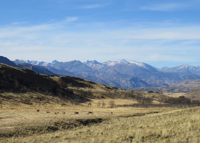 Parque Patagonia, Aysén