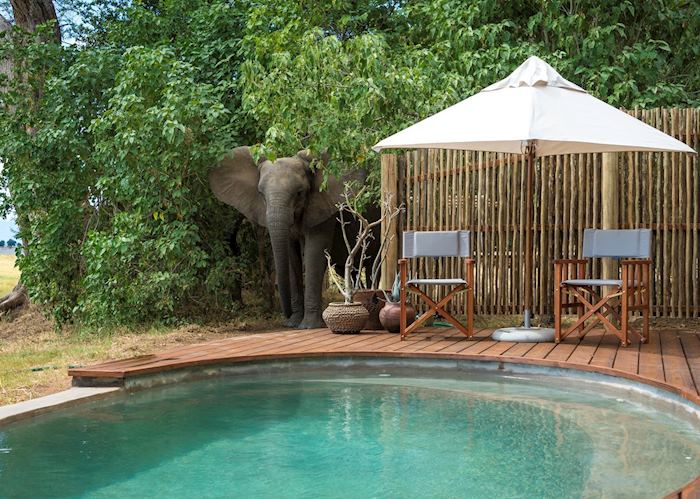 Pool at Ruckomechi Camp, Mana Pools