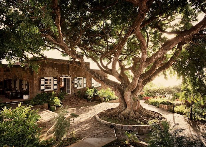 Montpelier Plantation & Beach, Nevis