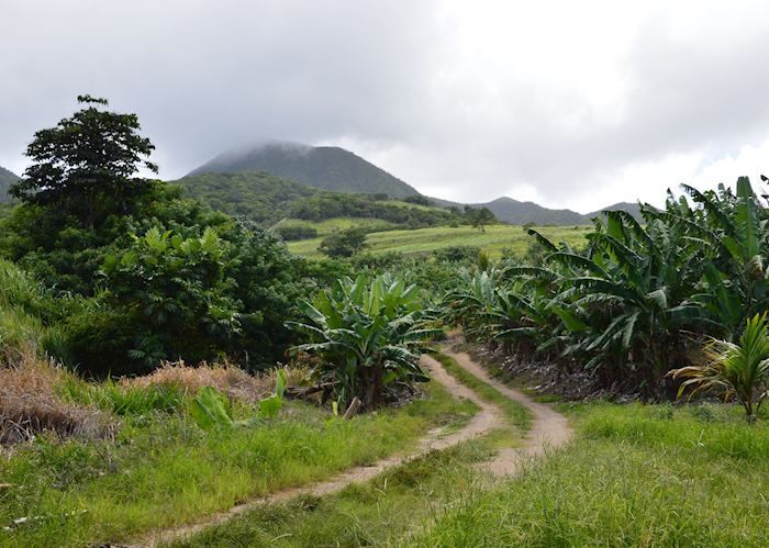 Volcano views, St Kitts