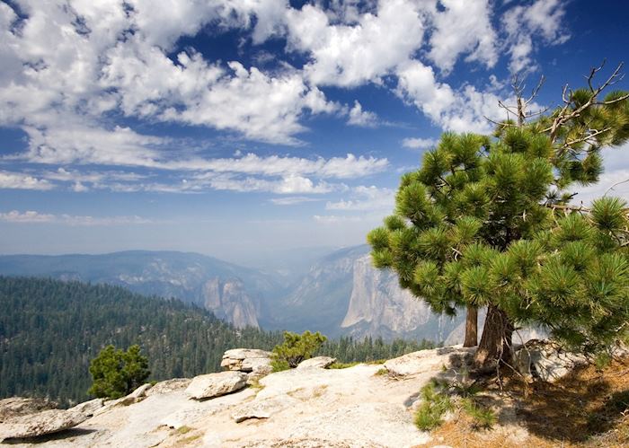 Sentinel Dome, Yosemite National Park