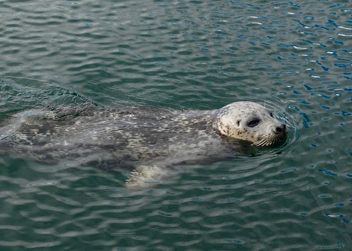 Local resident in Victoria