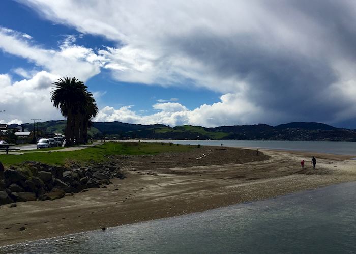 Whitianga Beach