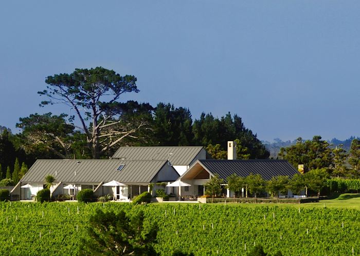 Takatu Vineyard & Lodge, Warkworth