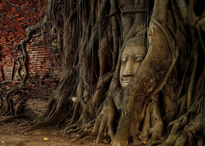 Buddha in Ayutthaya