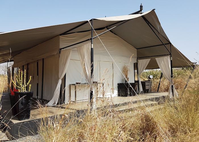 Tent at Jawai Leopard Camp