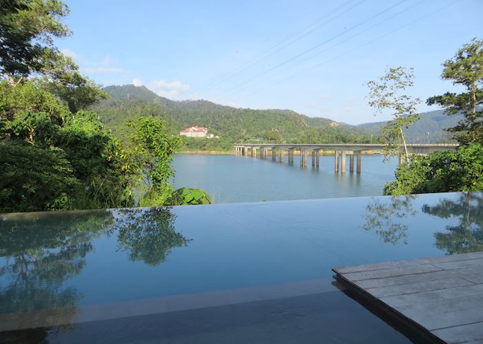 Swimming pool at Belum Rainforest Resort