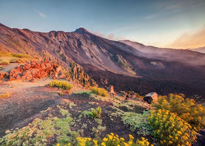 Fertile volcanic soil, Mount Etna