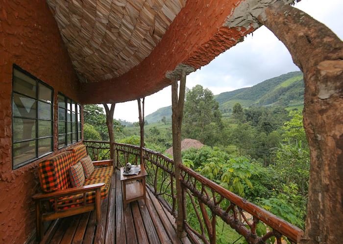 Mahogany Springs, Bwindi Impenetrable Forest National Park
