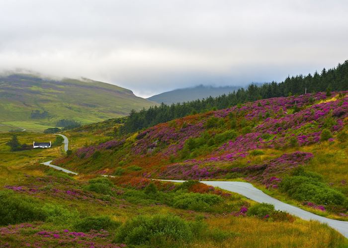 Valley on Isle of Skye