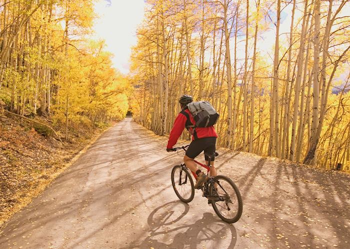 Mountain biking near Aspen