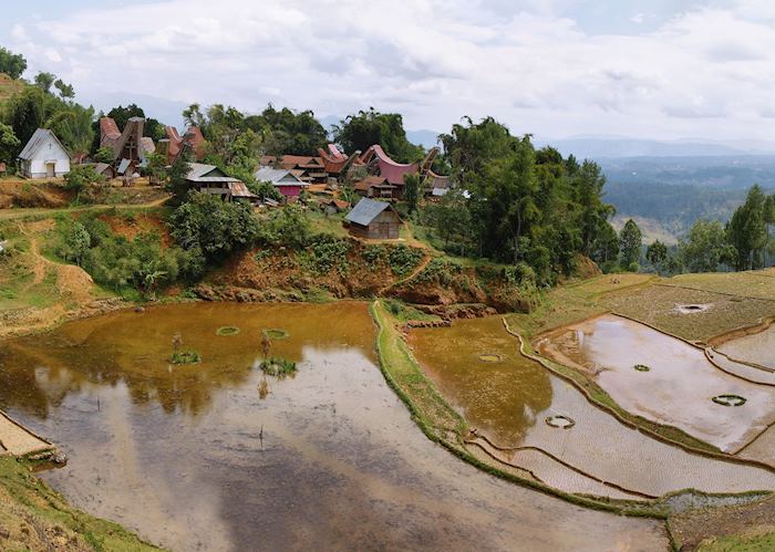 Village in Limbong, south Sulawesi