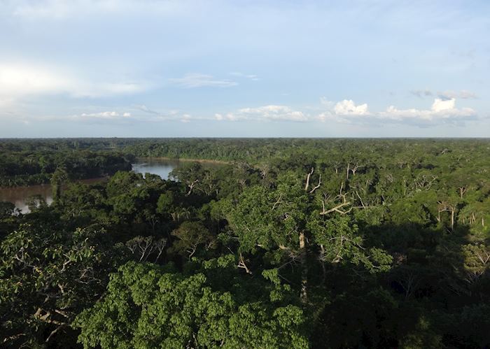View from Canopy Tower, Excursion from Posada Amazonas