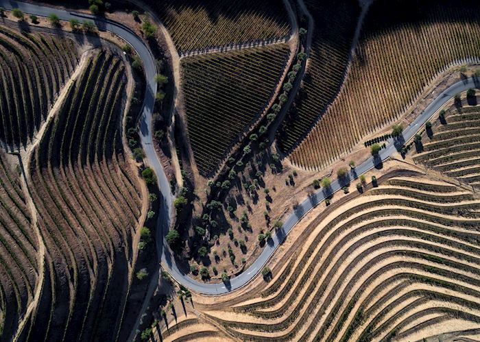 Vineyards, Douro Valley