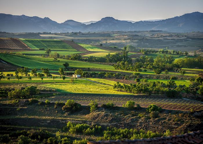 Vineyards, La Rioja