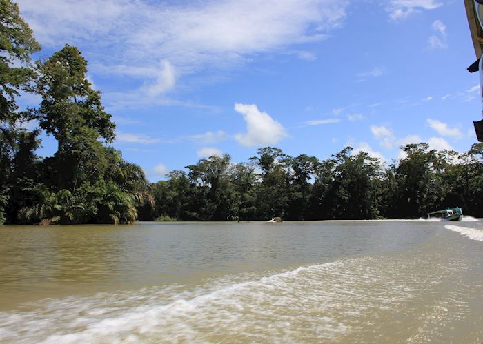 Tortuguero National Park - view from boat