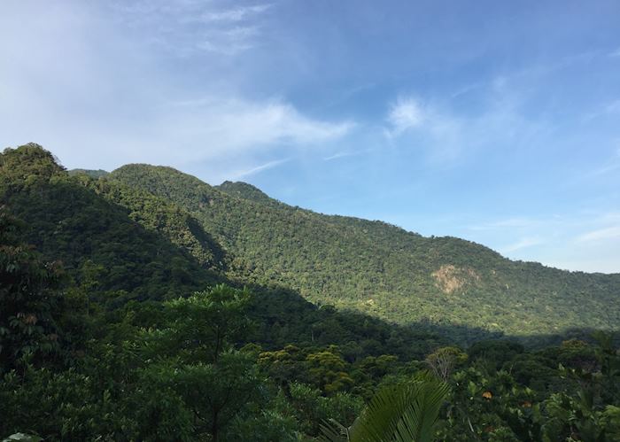 Pico Bonito National Park