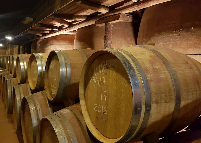 Winery outside of Toledo, Spain