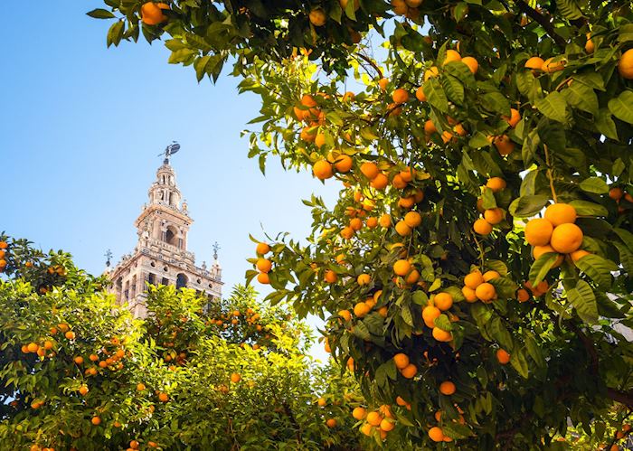 Giralda tower, Seville