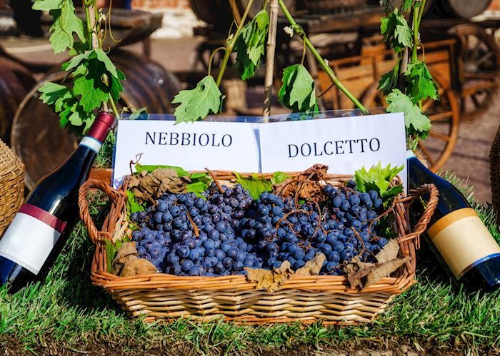 Grape varieties, Piedmont