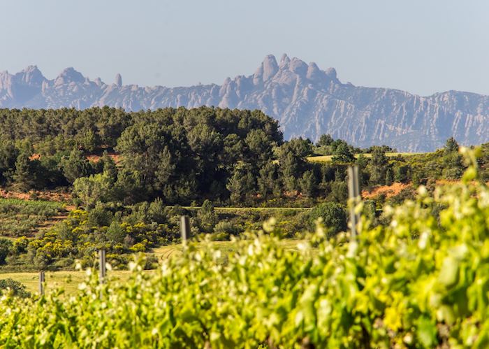 View of Montserrat, Catalonia