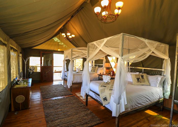 Saddlebill tent at Bomani Tented Lodge, Hwange National Park