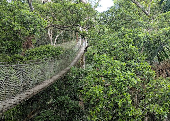 Canopy walk at Reserva Amazonica