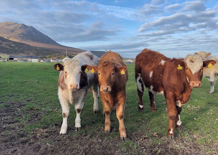 County Donegal