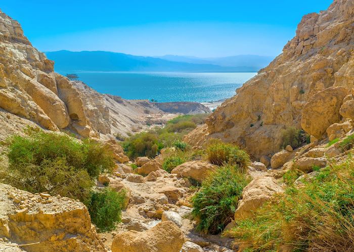 Ein Gedi, Israel