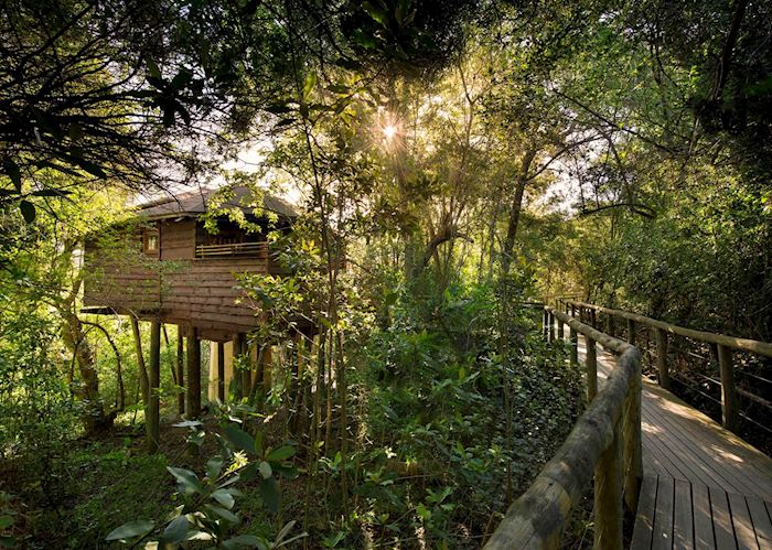 Suite Exterior Boardwalk, Tsala Treetop Lodge, Plettenberg Bay