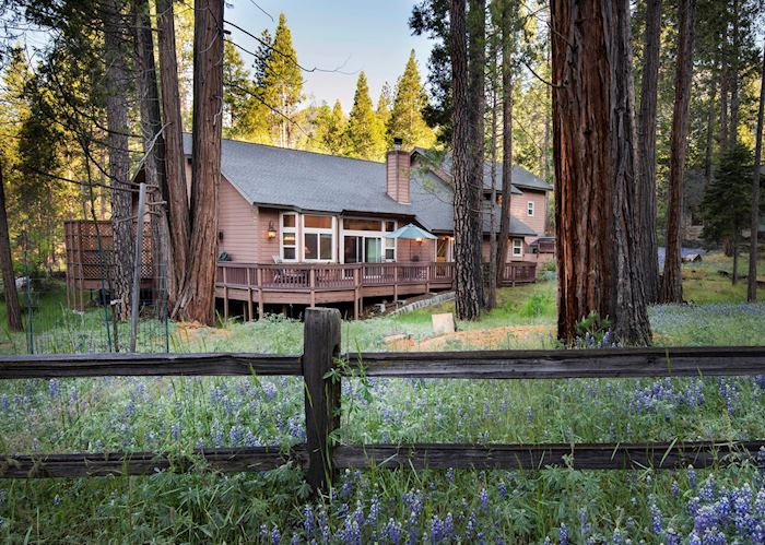 Redwoods in Yosemite 2A -Gold - 4 bedroom 