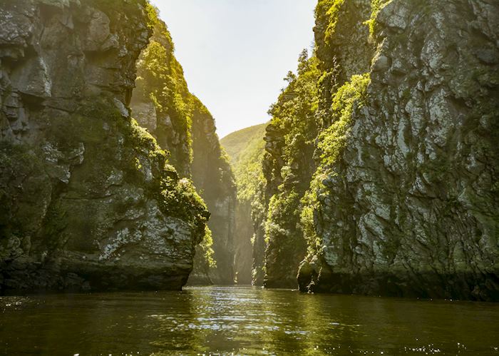 Storms River Canyon near Tsitsikamma