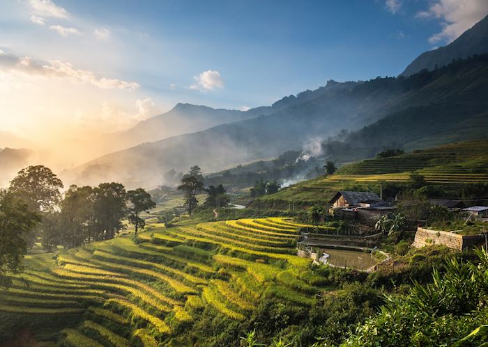 Rice terraces, Munduk