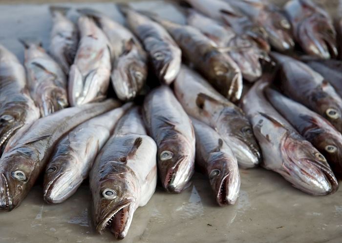Freshly caught fish, Ischia