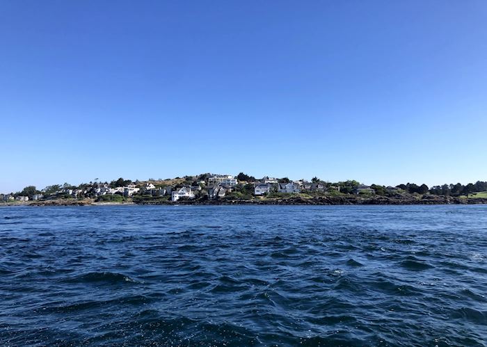 Whale watching tour, Victoria, British Columbia, Canada