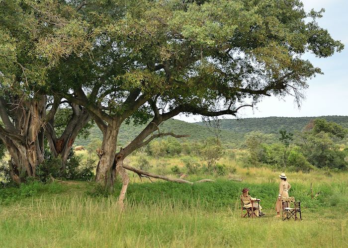 Makweti Safari Lodge, Welgevonden