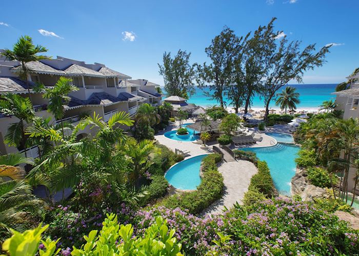 Bougainvillea, Oistins