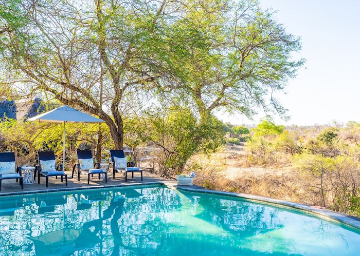 Pool at Thornybush Game Lodge, Thornybush Private Game Reserve