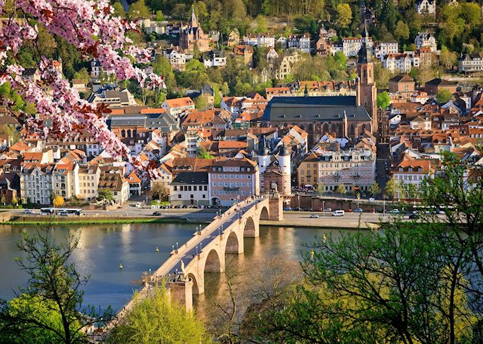 Springtime in Heidelberg
