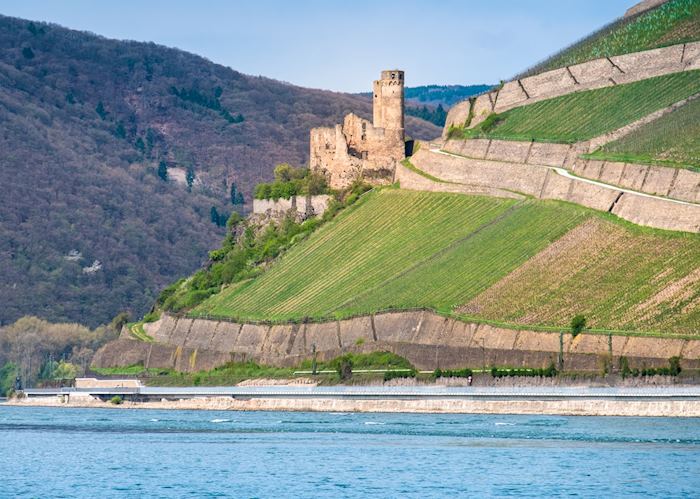 Castle along the Rhine river